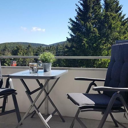 Ferienwohnung Singer Am Erlebnisbocksberg Goslar Eksteriør billede