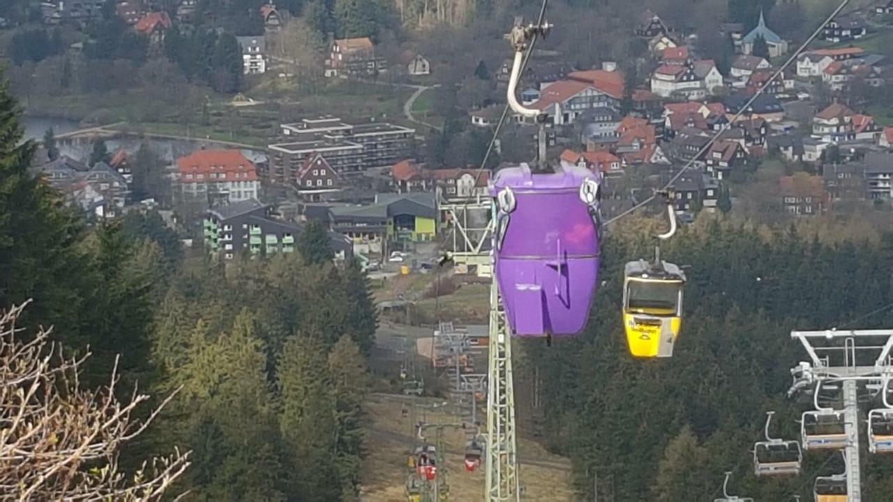 Ferienwohnung Singer Am Erlebnisbocksberg Goslar Eksteriør billede